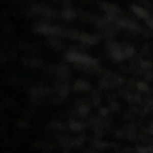 Meet your Posher, Amaya